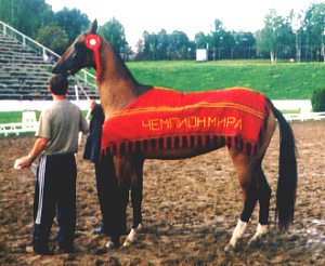 MAre Yarodja