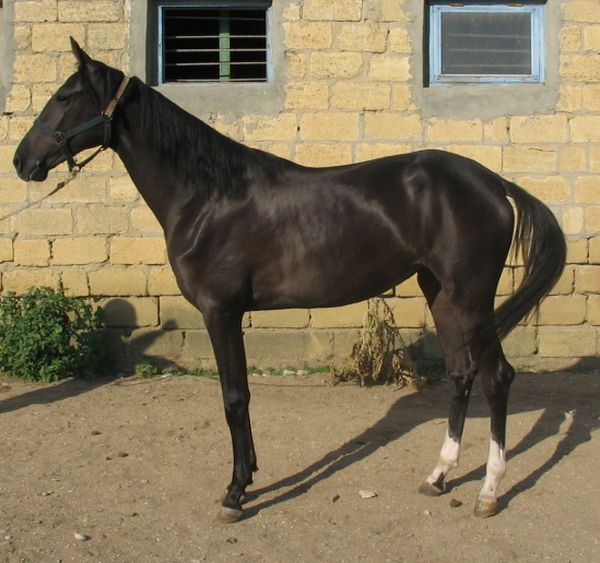 Akrapa