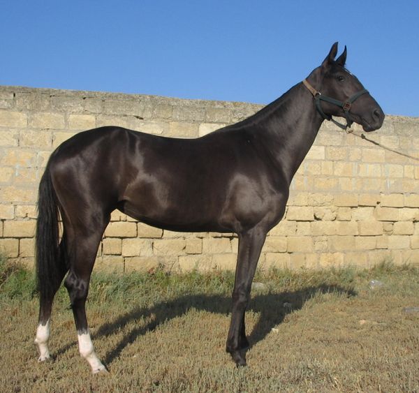 Akrapa