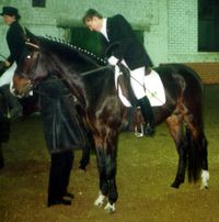 Vladimir Korolev and Waterpas